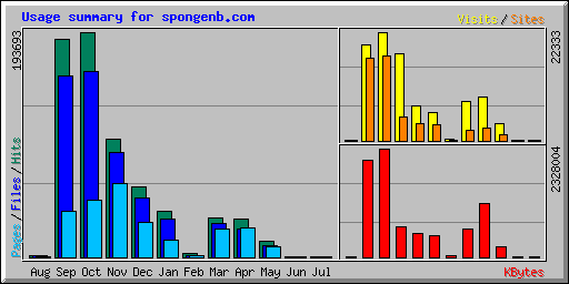 Usage summary for spongenb.com